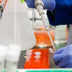 Kidney Preclinical research