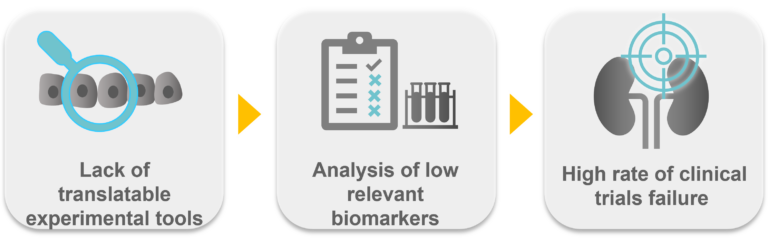 Kidney Preclinical research