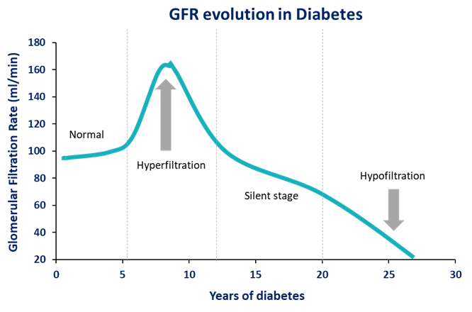 Kidney Preclinical research