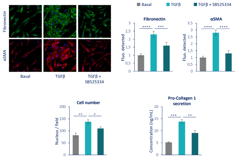 Kidney Preclinical research