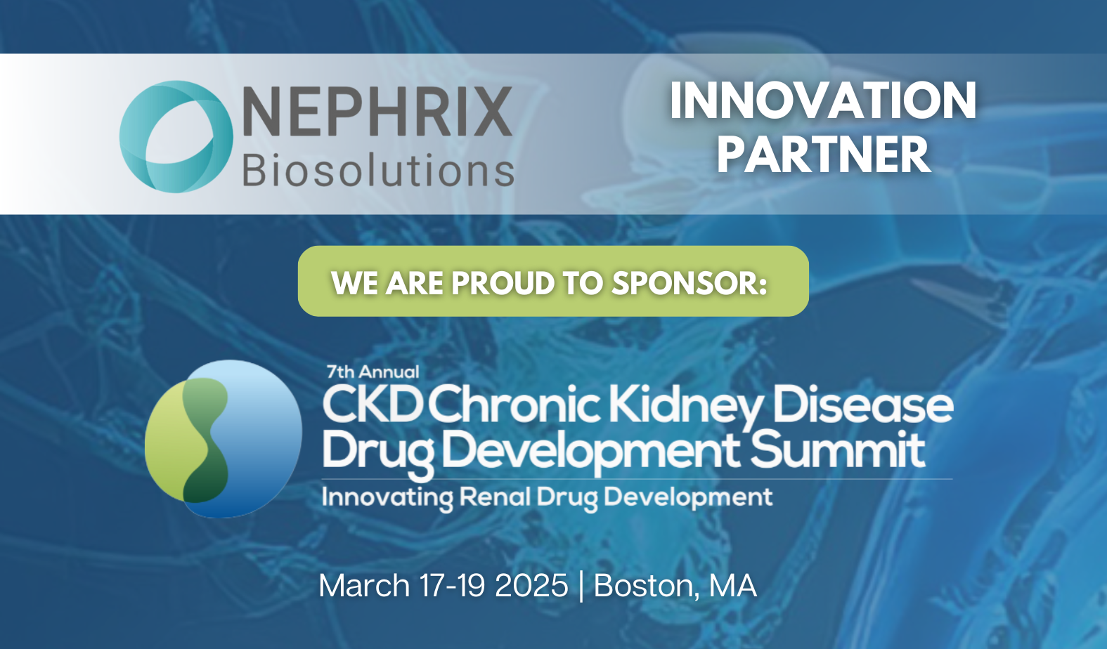 Ckd Summit - CKD Preclinical research