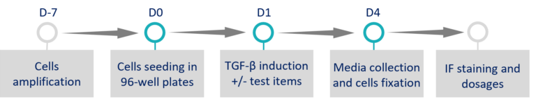 Kidney Preclinical research