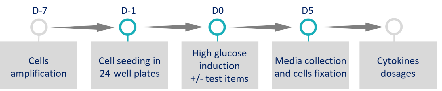 Kidney Preclinical research