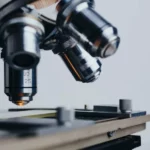Preclinical services services