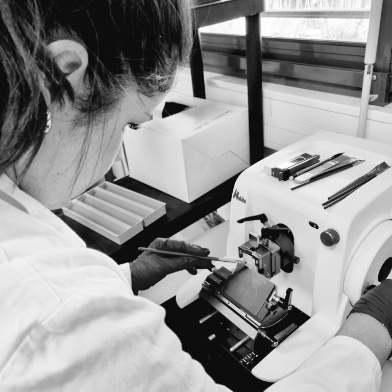 Histology laboratory - Lab tissue analysis services