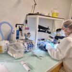 Kidney Preclinical research