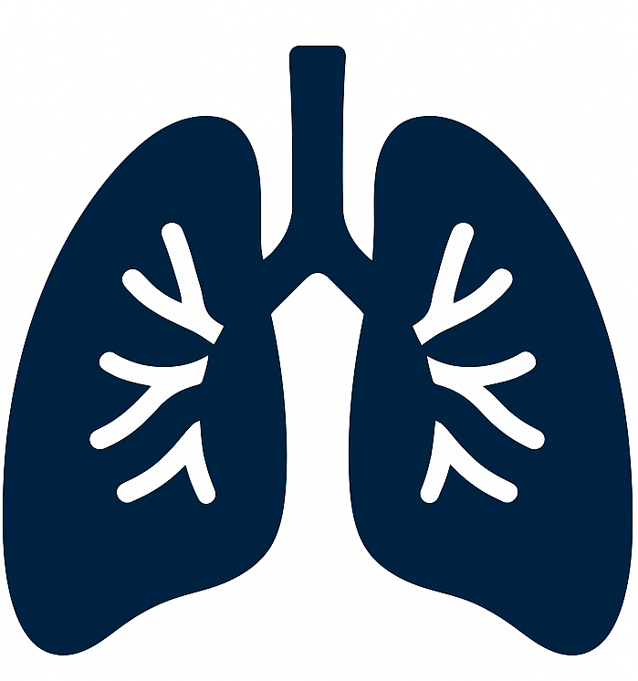 Kidney Preclinical research