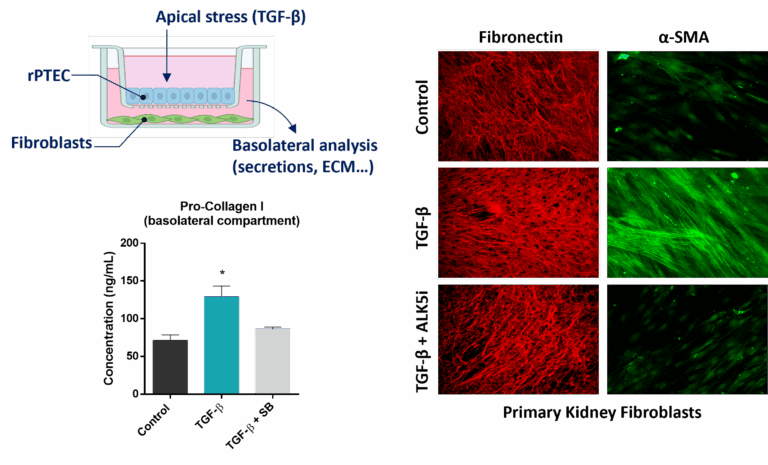 Firbosis assay readouts