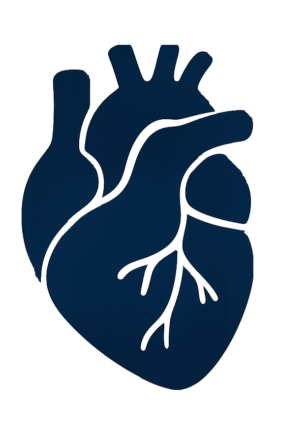 Kidney Preclinical research