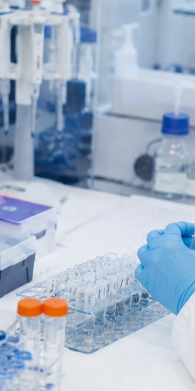 kidney preclinical cro services